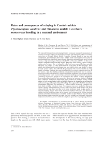 Rates and consequences of relaying in Cassin’s auklets