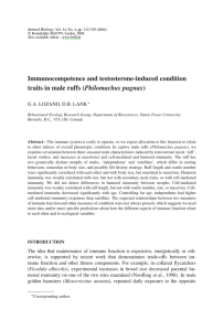 Immunocompetence and testosterone-induced condition Philomachus pugnax G.A. LOZANO, D.B. LANK