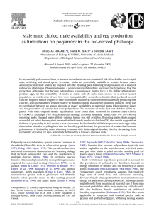 Male mate choice, male availability and egg production