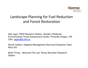 Landscape Planning for Fuel Reduction   and Forest Restoration