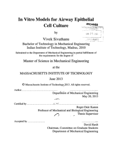 Cell  Culture In Vitro Models  for Airway  Epithelial &#34;1