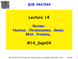 Lecture 14 #14_Sept24 BCB 444/544 Review: