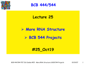 BCB 444/544 More RNA Structure BCB 544 Projects Lecture 25