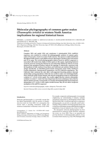 Molecular phylogeography of common garter snakes ( ) in western North America: