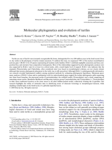 Molecular phylogenetics and evolution of turtles Ver James G. Krenz