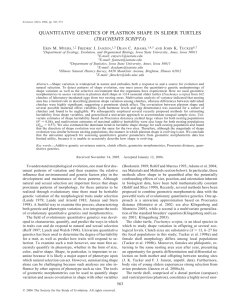 QUANTITATIVE GENETICS OF PLASTRON SHAPE IN SLIDER TURTLES TRACHEMYS SCRIPTA E M. M