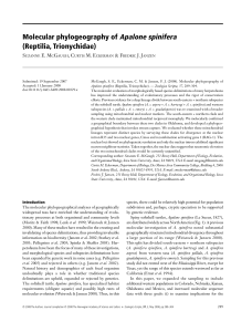 Apalone spinifera Molecular phylogeography of (Reptilia, Trionychidae)