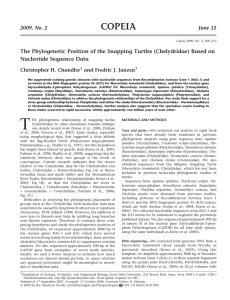 COPEIA The Phylogenetic Position of the Snapping Turtles (Chelydridae) Based on