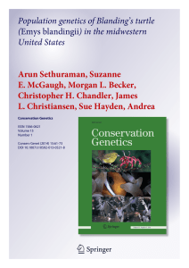 Population genetics of Blanding’s turtle ( United States Arun Sethuraman, Suzanne