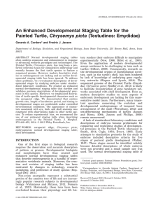 An Enhanced Developmental Staging Table for the