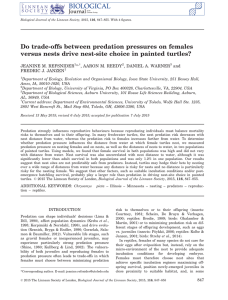 Do trade-offs between predation pressures on females