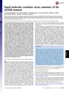 Rapid molecular evolution across amniotes of the IIS/TOR network