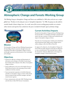 Atmospheric Change and Forests Working Group