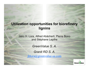 Utilization opportunities for biorefinery lignins GreenValue S. A. Granit RD S. A.