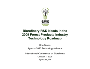 Biorefinery R&amp;D Needs in the 2009 Forest Products Industry Technology Roadmap Ron Brown