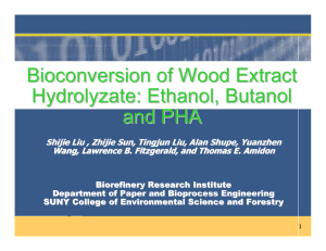 Bioconversion of Wood Extract Hydrolyzate : Ethanol, Butanol