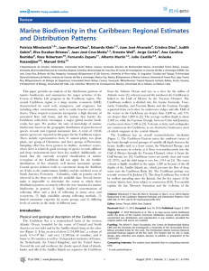 Marine Biodiversity in the Caribbean: Regional Estimates and Distribution Patterns Review