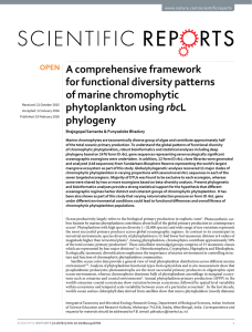 A comprehensive framework for functional diversity patterns of marine chromophytic rbc