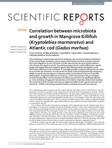 Correlation between microbiota and growth in Mangrove Killifish Kryptolebias marmoratus Gadus morhua