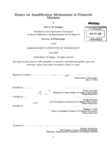 Essays  on  Amplification  Mechanisms  in ... Markets ARGMs JUN