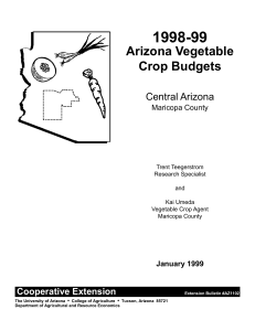 1998-99 Arizona Vegetable Crop Budgets Central Arizona