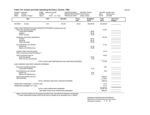 Table 17A. Income and Cash Operating Summary; Carrots, 1998