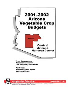 2001–2002 Arizona Vegetable Crop Budgets