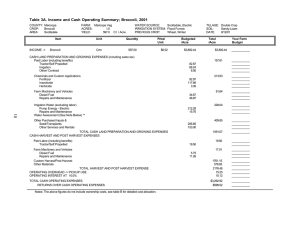 Table 3A. Income and Cash Operating Summary; Broccoli, 2001