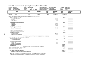 Table 13A. Income and Cash Operating Summary; Green Onions, 2001