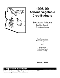 1998-99 Arizona Vegetable Crop Budgets Southeast Arizona