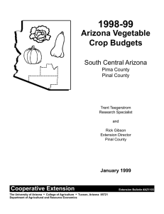 1998-99 Arizona Vegetable Crop Budgets South Central Arizona