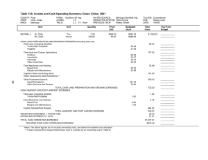 Table 12A. Income and Cash Operating Summary; Green Chiles, 2001