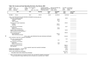 Table 13A. Income and Cash Operating Summary; Dry Onions, 2001