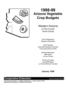 1998-99 Arizona Vegetable Crop Budgets Western Arizona
