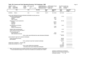 Table 15A. Income and Cash Operating Summary; Fall Cantaloupe, 1998