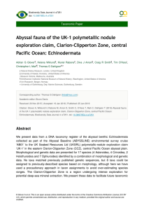 Abyssal fauna of the UK-1 polymetallic nodule Pacific Ocean: Echinodermata