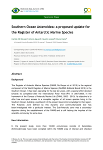 Southern Ocean Asteroidea: a proposed update for Taxonomic Paper