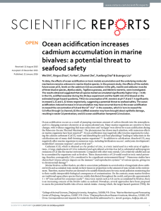 Ocean acidification increases cadmium accumulation in marine bivalves: a potential threat to