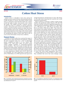 Cotton Heat Stress E    TENSION Introduction