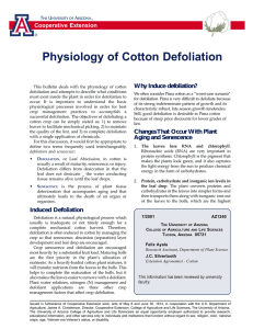 Physiology of Cotton Defoliation Cooperative Extension Why Induce defoliation?