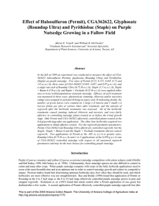 Effect of Halosulfuron (Permit), CGA362622, Glyphosate