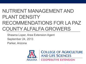 NUTRIENT MANAGEMENT AND PLANT DENSITY RECOMMENDATIONS FOR LA PAZ COUNTY ALFALFA GROWERS