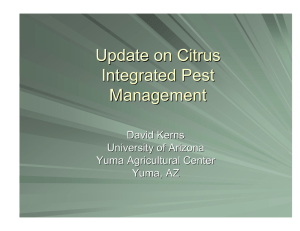 Update on Citrus Integrated Pest Management David Kerns