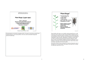 “Plant Bugs” Lygus spp Plant Bugs ( .)