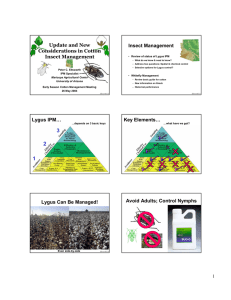 Update and New Considerations in Cotton Insect Management