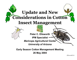 Update and New Considerations in Cotton Insect Management Peter C. Ellsworth