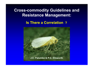 Cross-commodity Guidelines and Resistance Management: Is There a Correlation ?