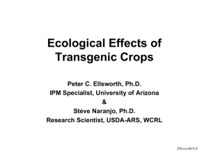 Ecological Effects of Transgenic Crops