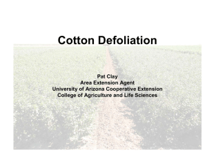Cotton Defoliation