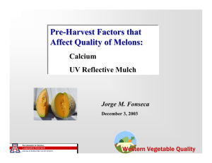 Pre - Harvest Factors that Affect Quality of Melons: